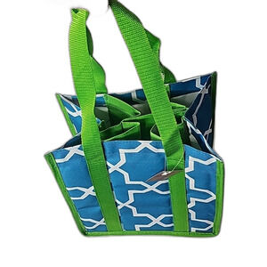 Wine Tote insulated Blue White Green by The Royal Standard Holds 6 Bottles NWT